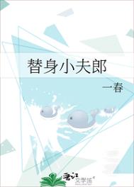 替身小夫郎小说by一春